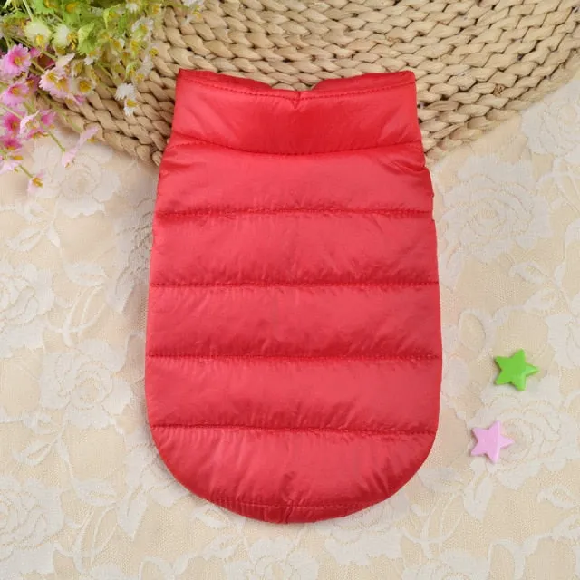 Coat Warm Dog clothes for small dogs